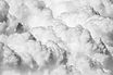 Fluffy Clouds