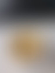 Aus dem Tagebuch einer Sozialarbeiterin