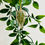 Thumbnail: Pressed Leaf | Gold Necklace | Nature Jewellery | Handmade | Resin