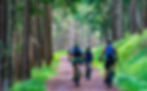 Mit dem Mountainbike in den Taunus