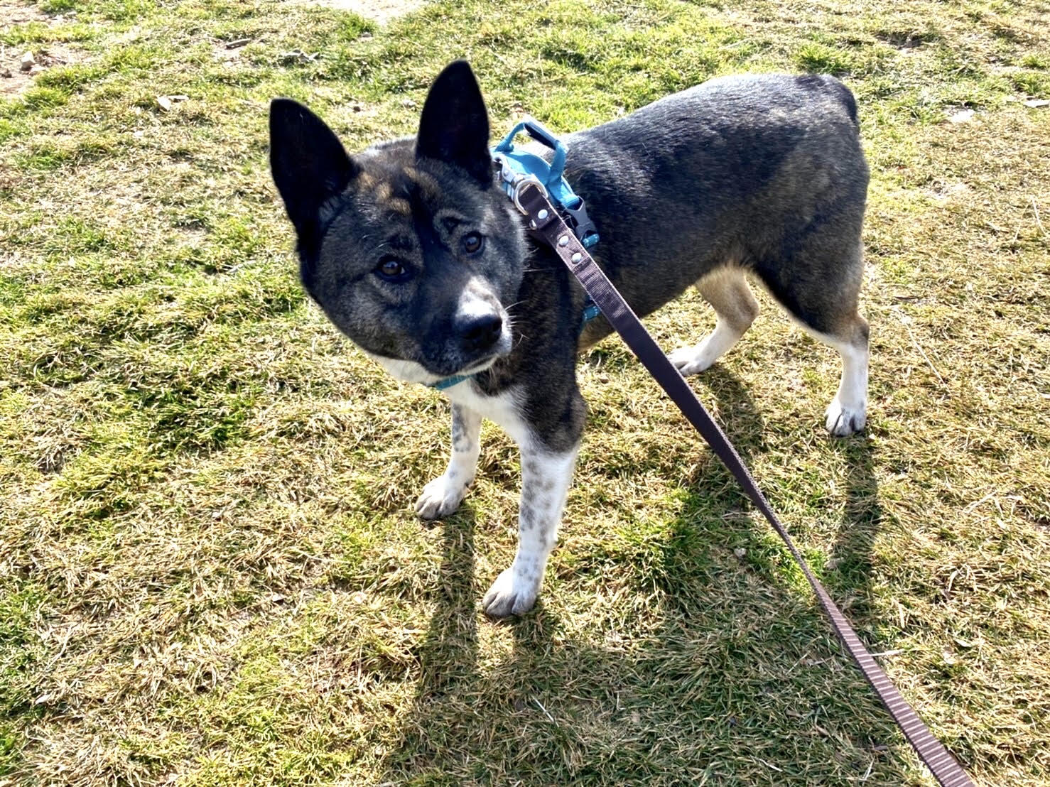 ソウマ