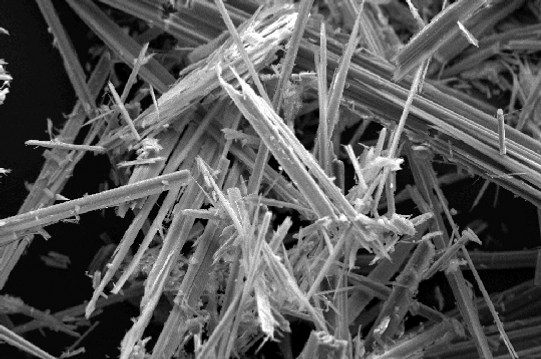 Anthophyllite-Asbestos-Scanning-Electron-Microscopy-1.png