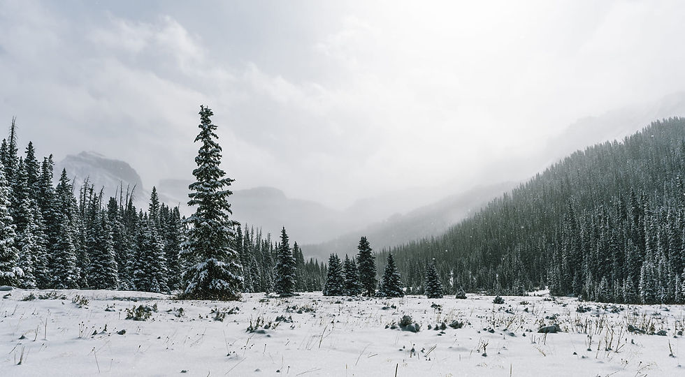 Snowy Basin.jpg