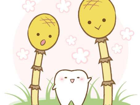 歯並びが良くなると人生もポジティブに🌼