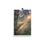 Thumbnail: Pine Forest (Magoebaskloof) - Print