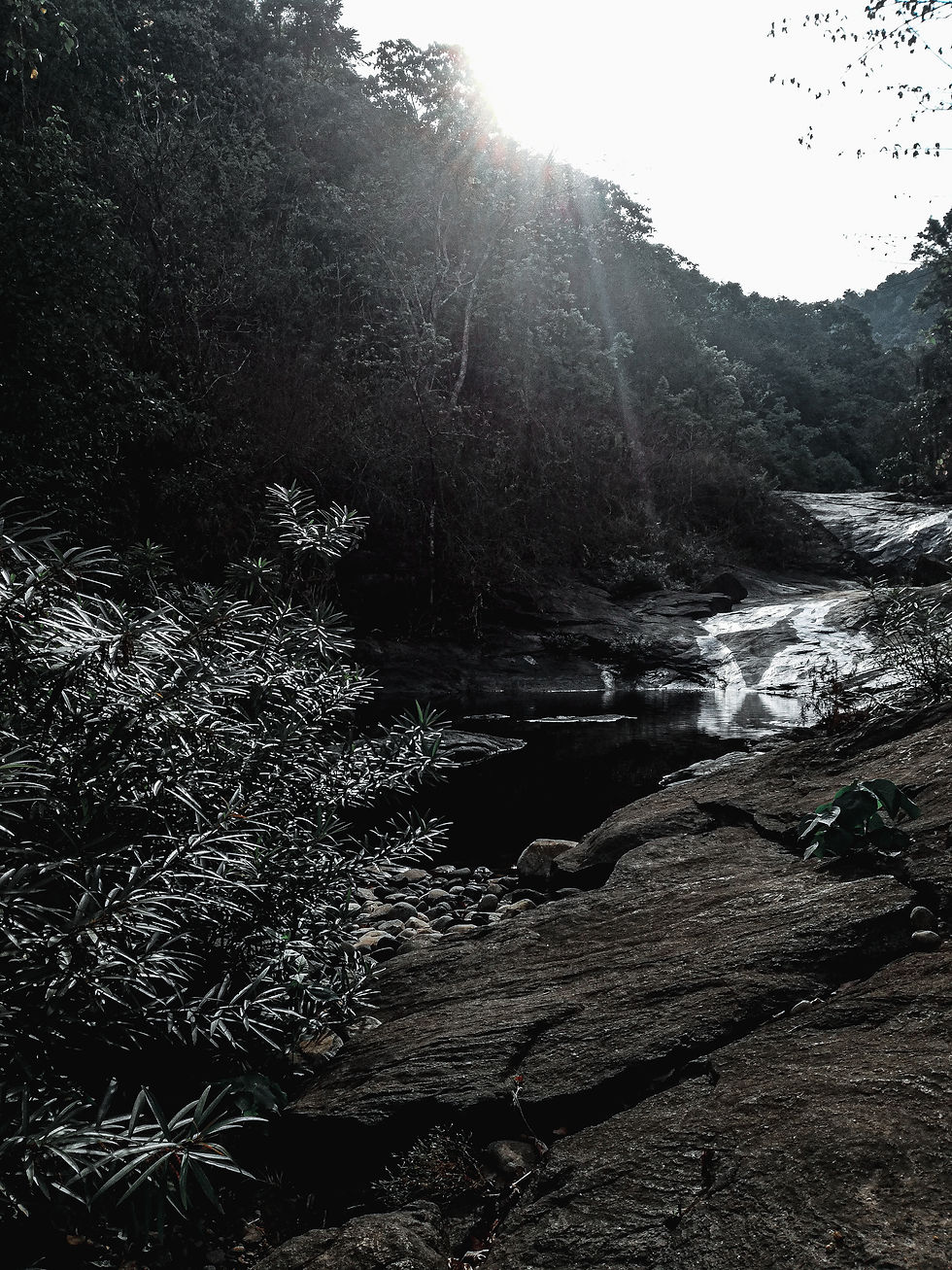 ą“µąµą“Øą“²ą“æą“²ąµ ą“ą““ą“°ą“ąµą“£ąµą“ąµ ą“µąµą“³ąµą“³ą“ąµą“ą“¾ą“ąµą“ą“