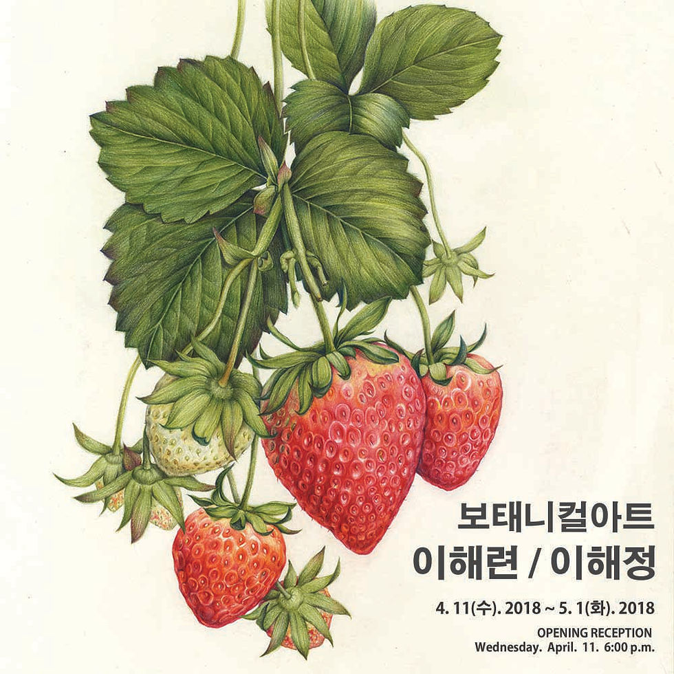 보태니컬아트@H아트브릿지