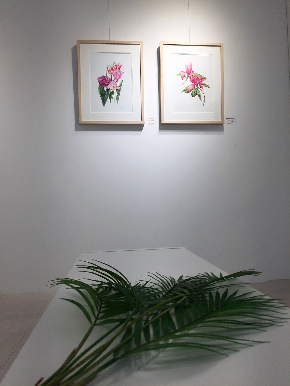 보태니컬아트@H아트브릿지