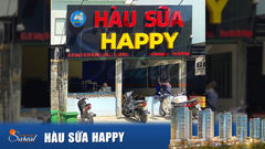 Trải nghiệm Hàu sữa Happy - The Sun Avenue