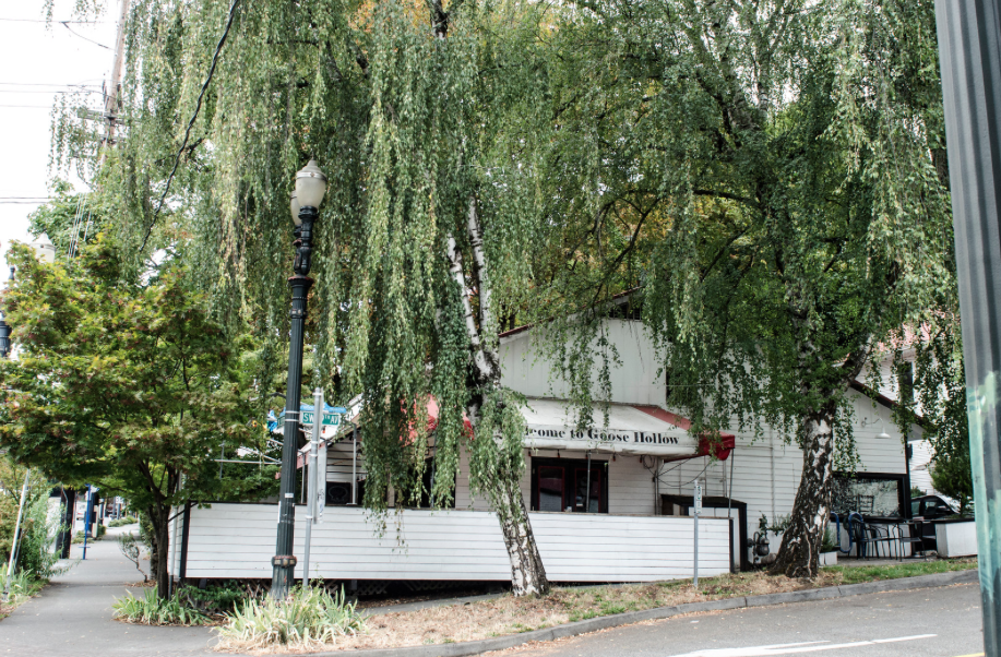 Photo Gallery Goose Hollow