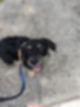 PXL_20230801_181107498.PORTRAIT.jpg
