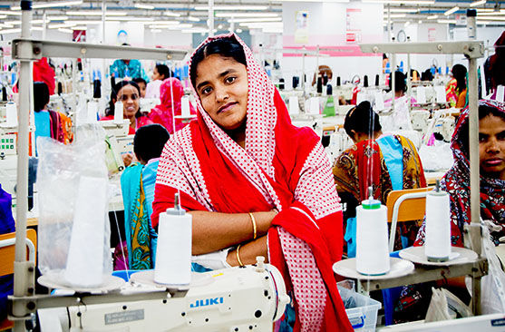 sustainable workplace wellness