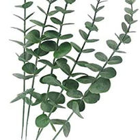 5 Piezas de Tallo de eucalipto Artificial