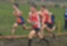 image1.jpeg