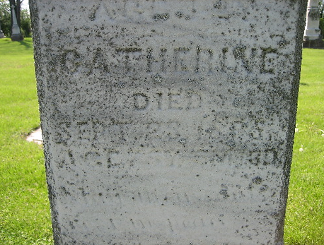 James Fagan, James Fagin, Cathering Fagin, Catherine Fagan, St. Patrick Cemetery, Lake Forest, Illinois