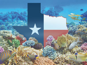 The Old (Texan) Man and The Sea