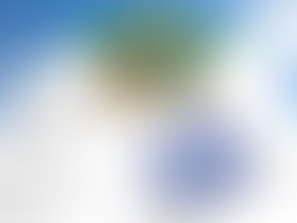 HOMEOWNER’S INSURANCE, PART 2