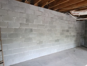 BASEMENT ANATOMY