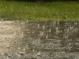 🎶Oh No! It’s Raining Again🎶Season-by-Season Tips to Keep Your DFW Foundation Strong