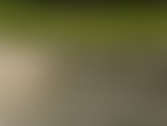 🎶Oh No! It’s Raining Again🎶Season-by-Season Tips to Keep Your DFW Foundation Strong