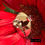 Thumbnail: Hummingbird!