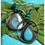 Thumbnail: Turquoise Spinner Earrings!