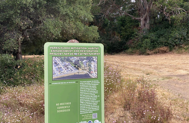 Flood Risk Reduction