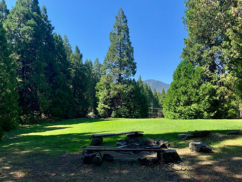 upper meadow.jpeg