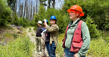 Workers in the forest.