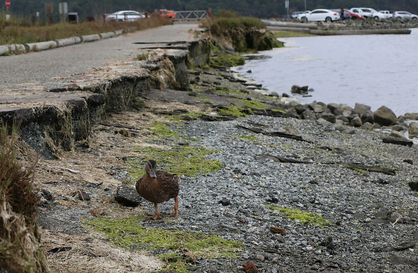 Flood Risk Reduction