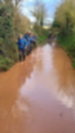 65d60d39-ab05-4f0c-a77e-6ebd5cd4c36b