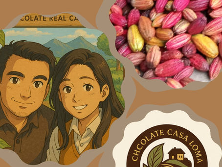 RAICES DEL CACAO