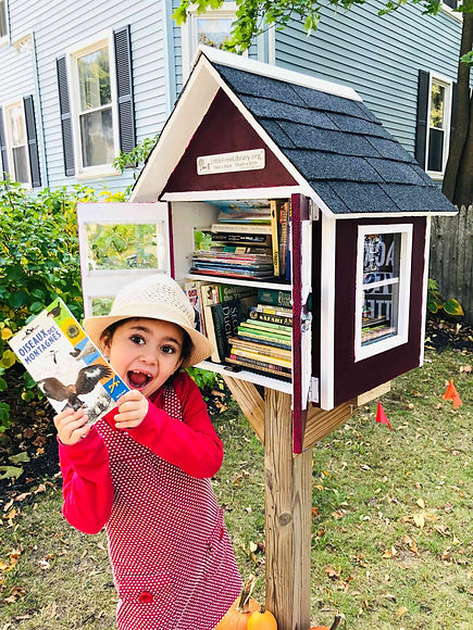 Little Free Libraries.jpeg