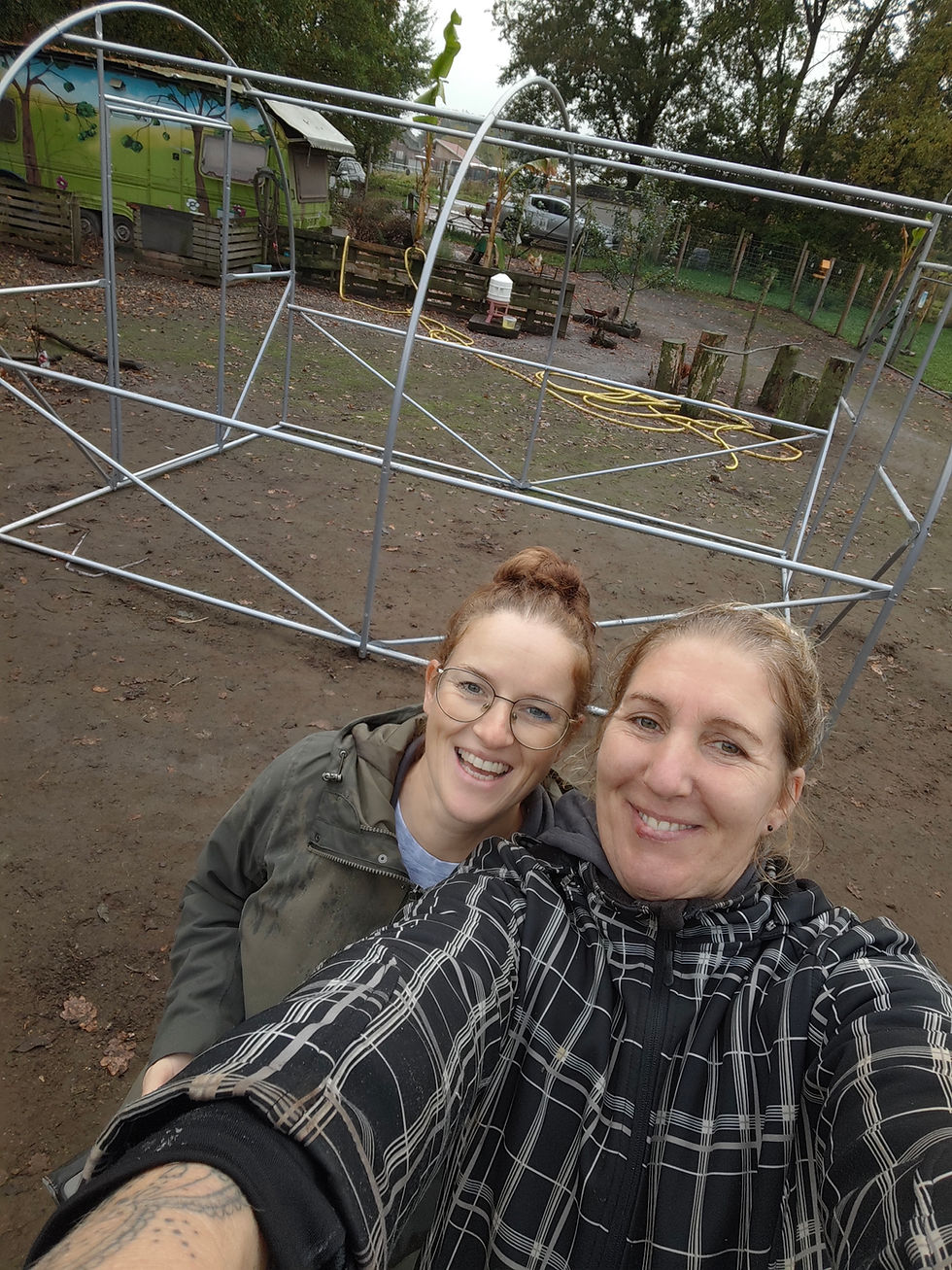 Nicky & Nadine Helfertag Gewächshausbau