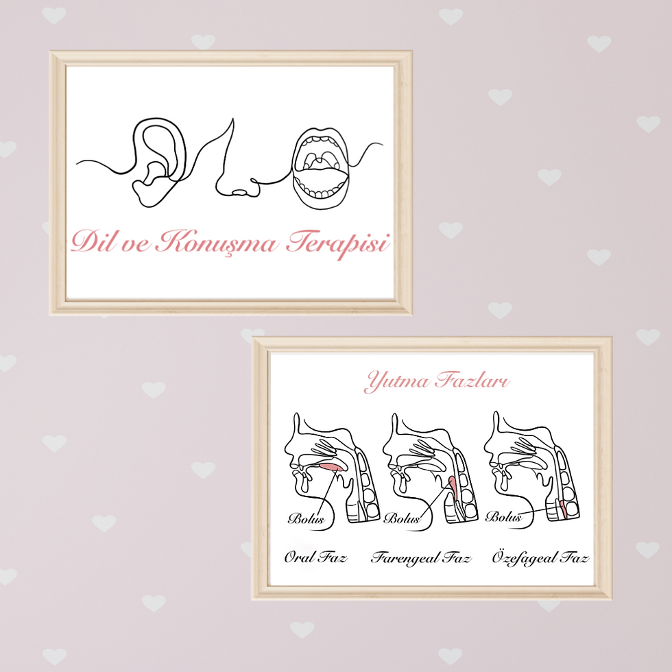 Küçük resim: Anatomic DKT Tablo SET (Adet)