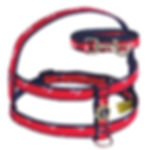 MARINHEIRO VERMELHO.jpg