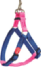 2281 walking poa azul.rosa.jpg