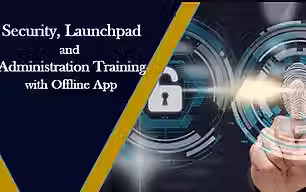 Sap Security and launchpad.avif