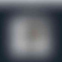 ai head shots for real estate agents