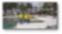 Picture1.png