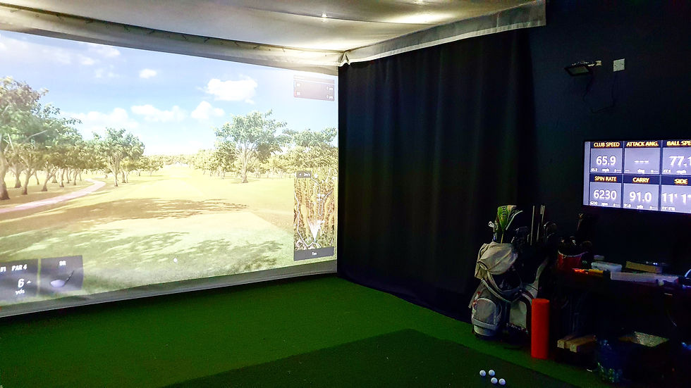 Indoor Trackman Golf Lesson Purley, Banstead, Carshalton