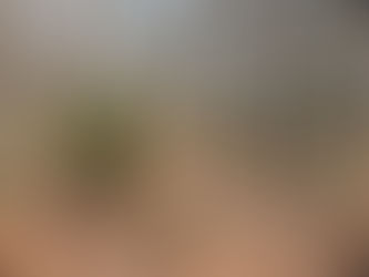 New Land Listing in Dallas County