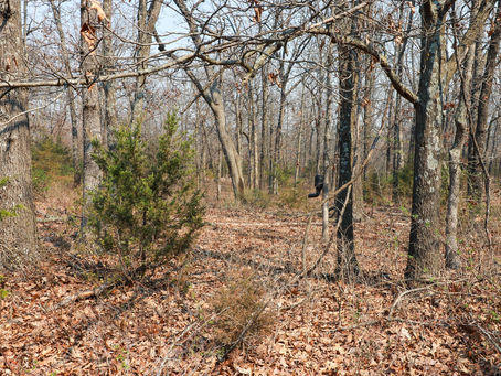 New Land Listing in Dallas County