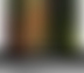 Stylized dog illustration featured in a trading card format with a QR code