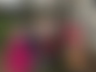 Les bulbes sont plantés!