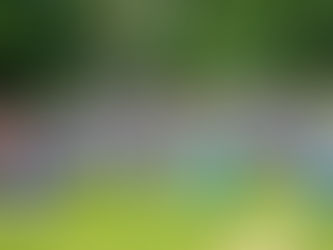 Rencontres sportives