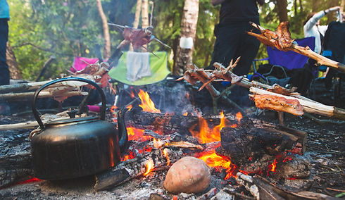 Bushcraft fire 1.jpg