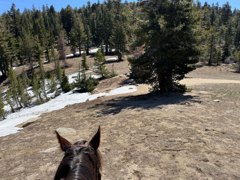 Hi all, George rode up to Potter Pass to scout the trail, and here are some pictures. We will be up there this weekend to turn on water, and getting D&F ready for riding by June 16th!