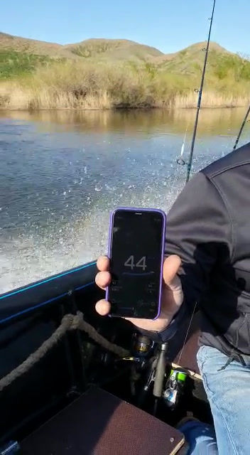 Миниатюра: АНРИВЕР - 5М.  АНРИВЕР - 5Т