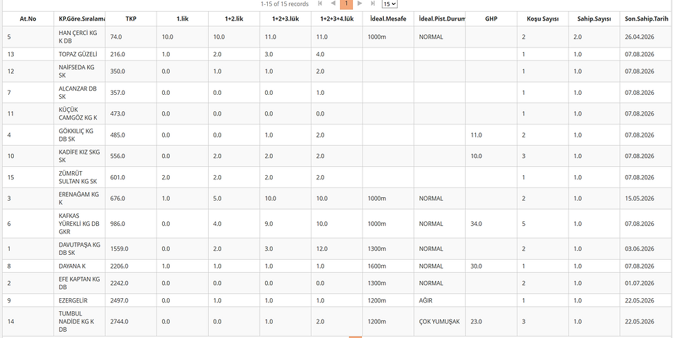 August 07 Istanbul race tips performance data table.